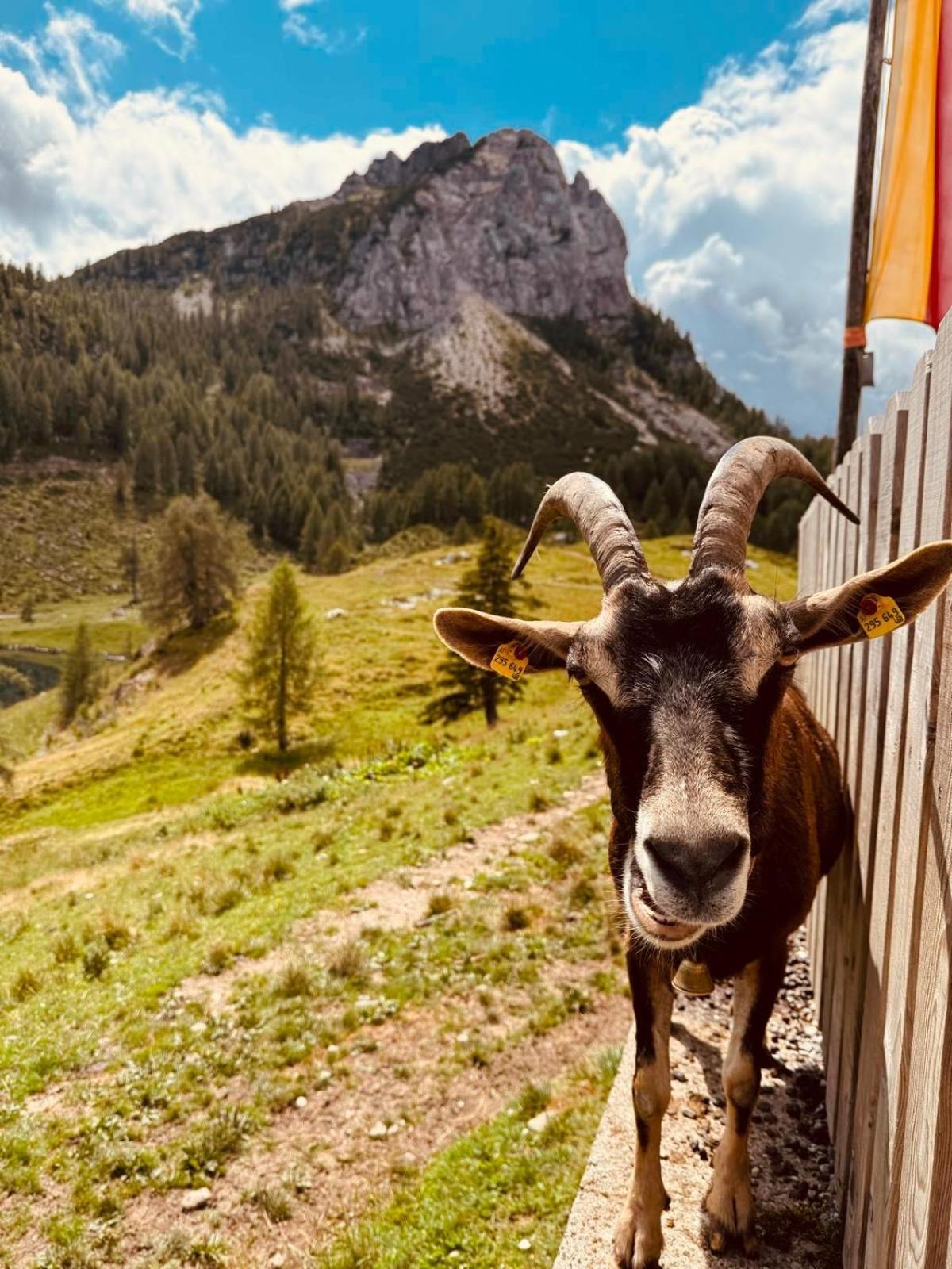 Stubihuettn Apartment Sonnenalpe Nassfeld Bagian luar foto